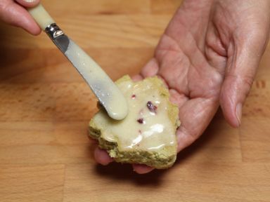 �̲�ʥ�������������