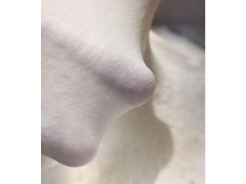 �����������սȫ��¼���� T65��������������