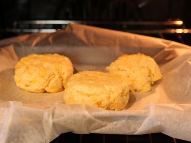 �h֥ʿ�ɱ�������