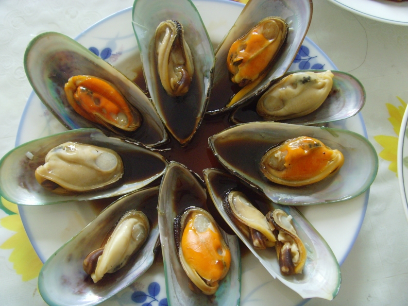 ������ڵ�����