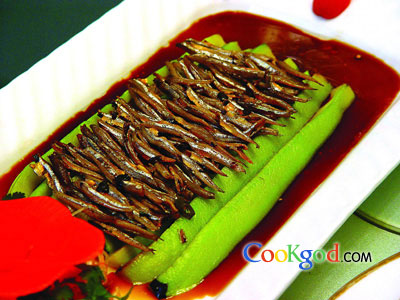 �໨��������ӵ�����