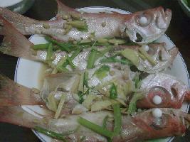 �������Ŀ���������