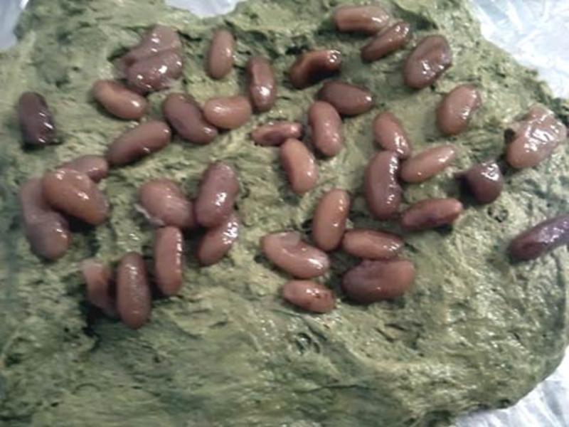 Ĩ����������������͡����·��ͷ�������