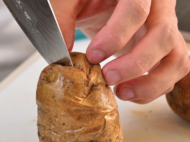 ������������ʢ�硿�������ɽ������