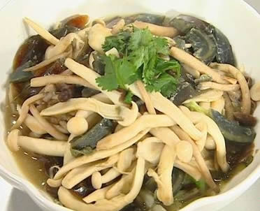 Ƥ�������Ӿ�������