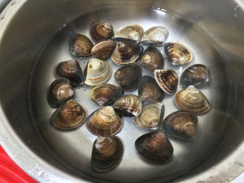 ��˿��������������