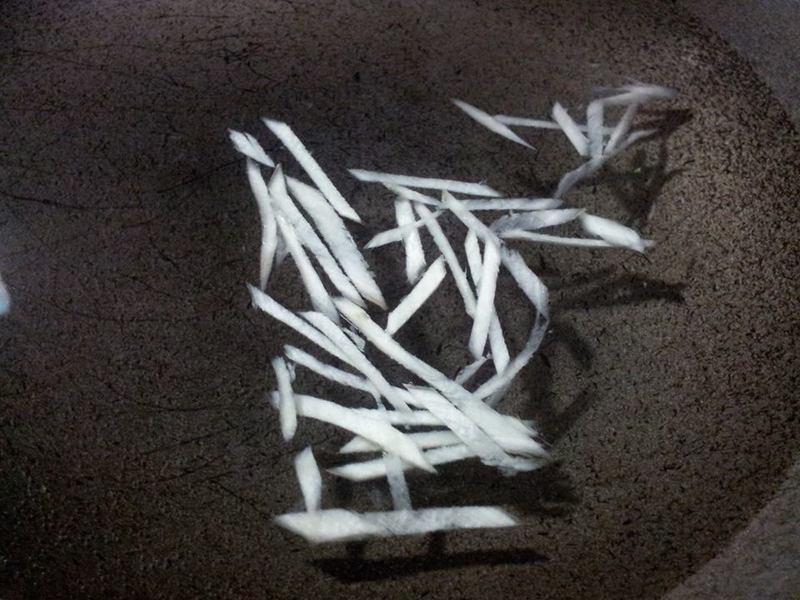 ��10�����Ҹ�������Ƥ������������������