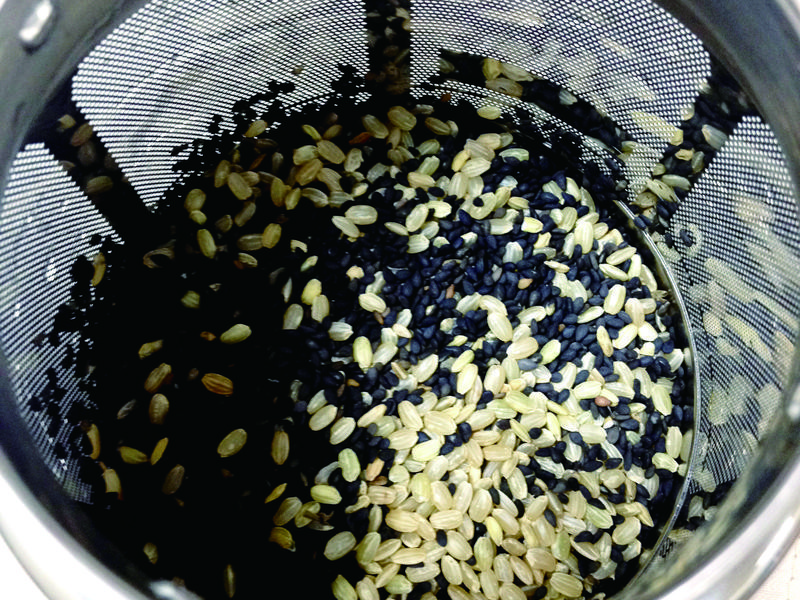 ������Ӫ����������