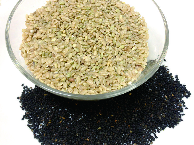 ������Ӫ����������