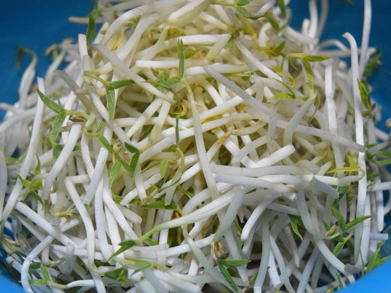 ��ѿ�ݲ˵�����