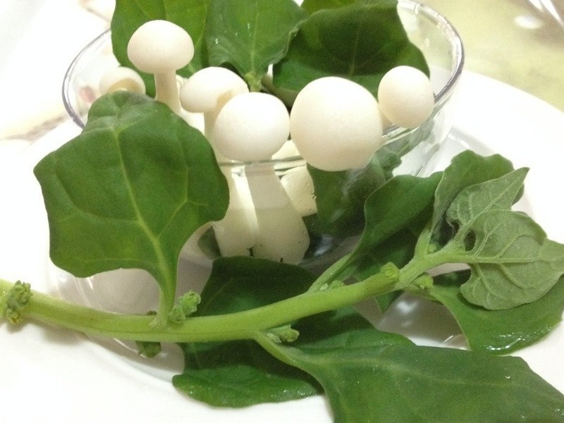 ������h���������