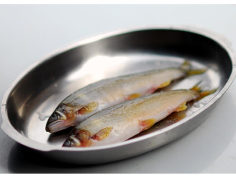 �ο�����-����������