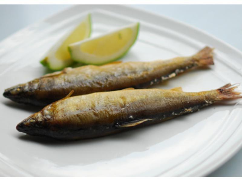 �ο�����-����������