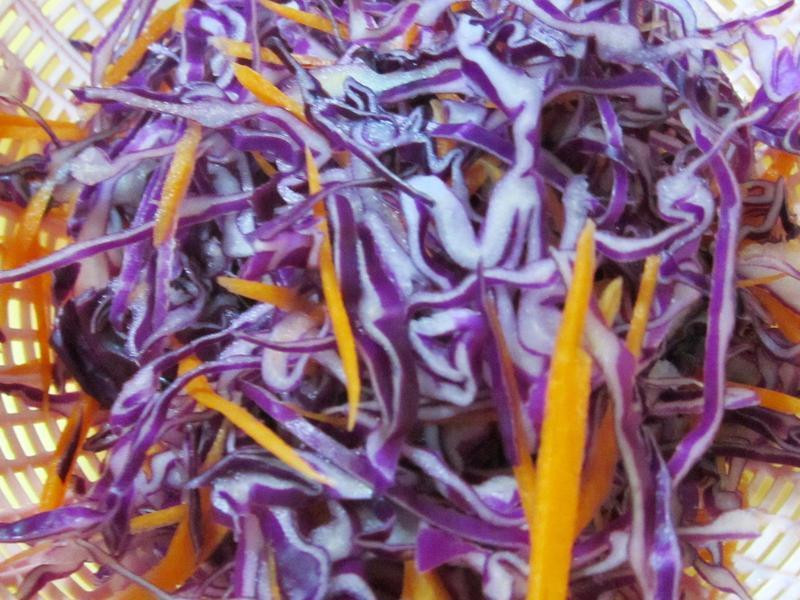 �߲˶���С����ɳ��������