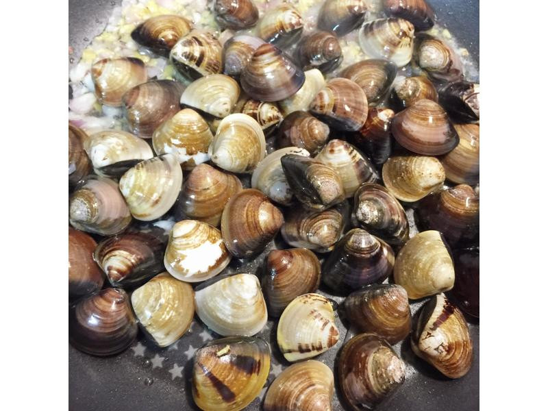 ����������۵�����