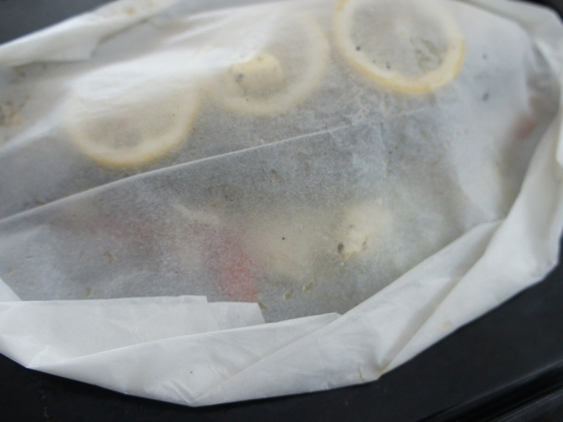 ֽ�������������