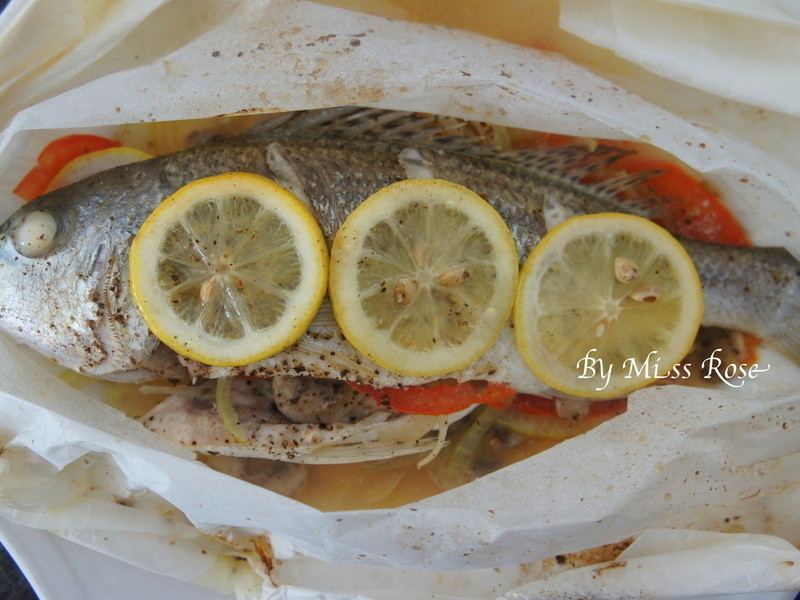 ֽ�������������