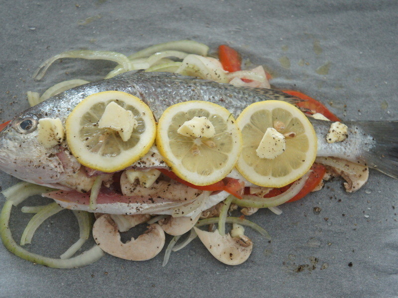 ֽ�������������