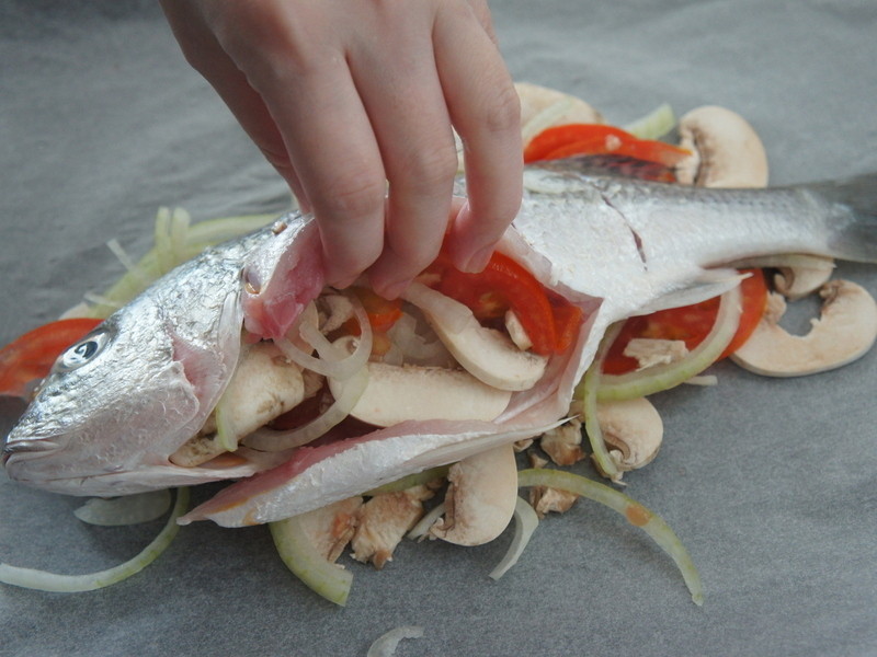 ֽ�������������