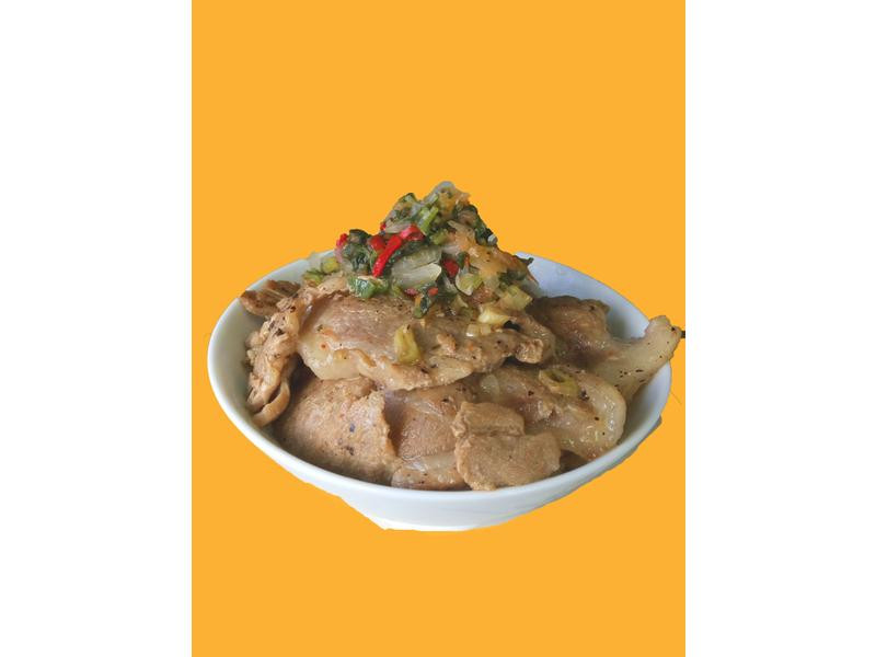 ī������˽�������