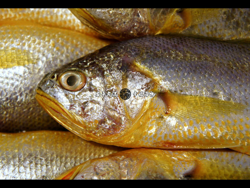 ���Ҹ������������С���������