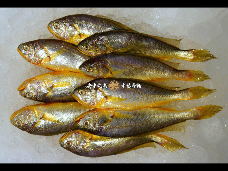 ���Ҹ������������С���������