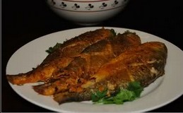 �ɼ���������