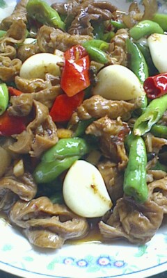 �⽷ݫ���շʳ�������