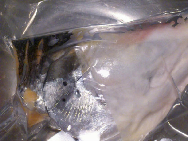 ����������ˡ�ɰ����ͷ���������