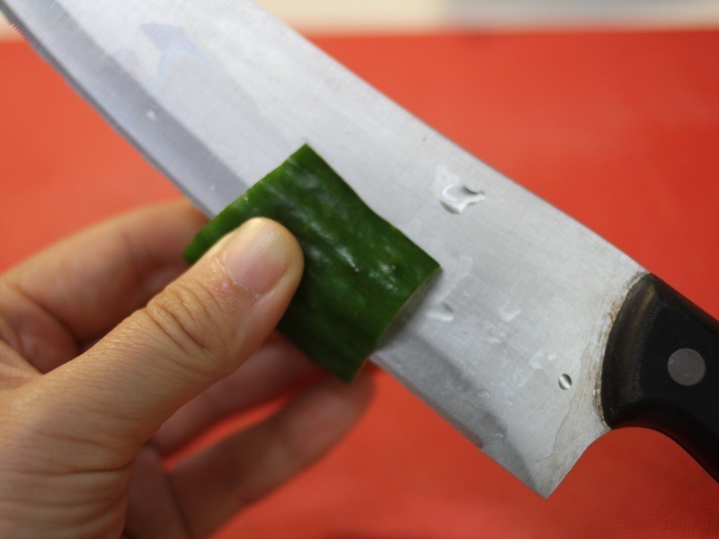 ������ͷ��԰��͵�����