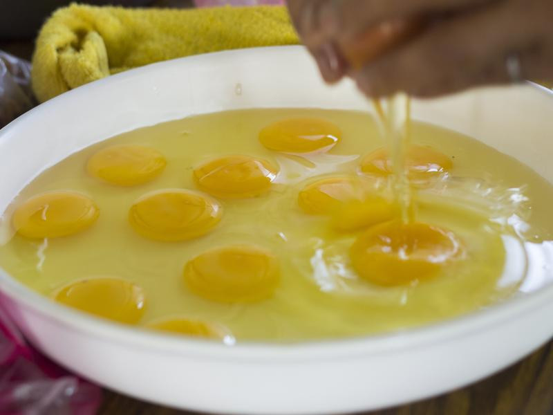 �л�����������