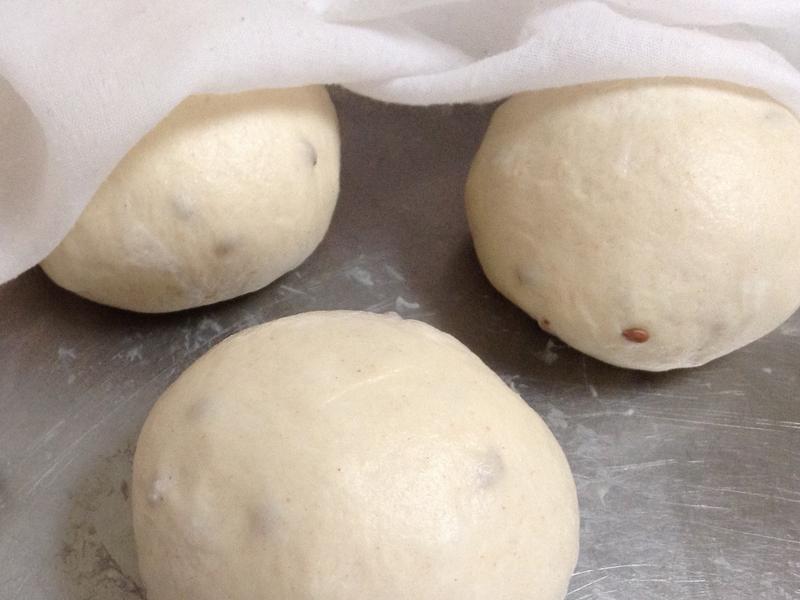 ʥ�����ӻ�Ȧ���������