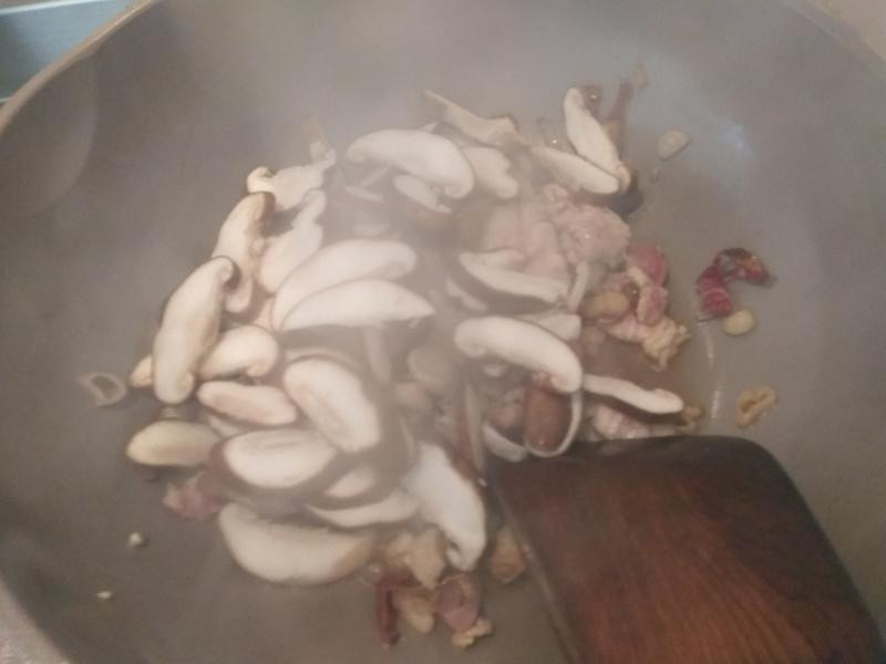 ���°��յ�����