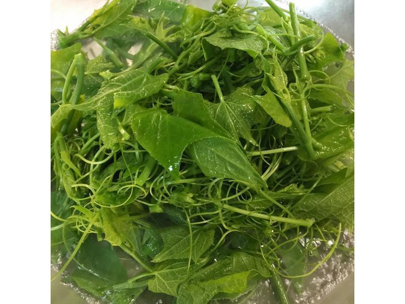 ��������� ��ά��ը����������