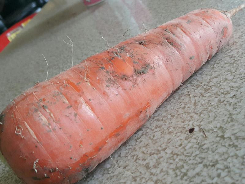 ���ܲ��������