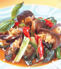 �������������