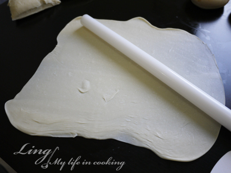 ��ʽ? ��������ά�ĵع�ץ��������