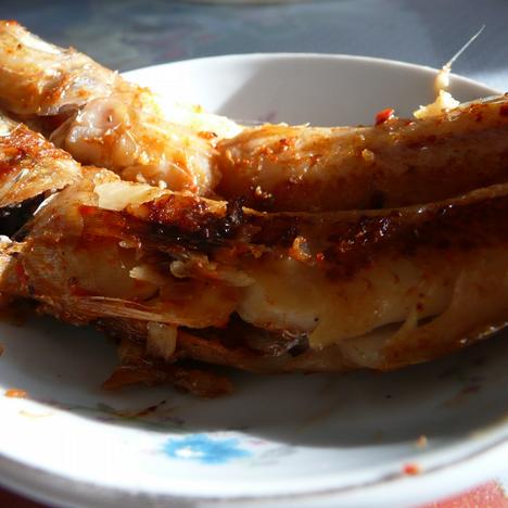 �㿾ɳ���������