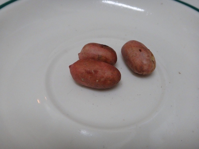 ���ֻ���������