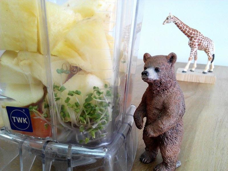 [Ӫ��ʦ�ľ�����֮·] �໨Ҭ�羫����������