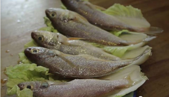 ����С���������