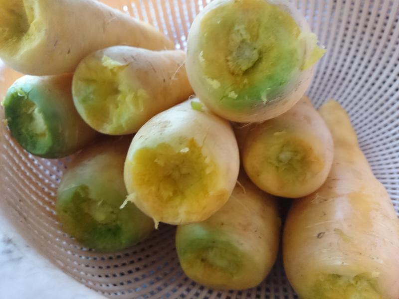 ��ɭҰ�߹�����������ƽ��ܲ����������̵�����