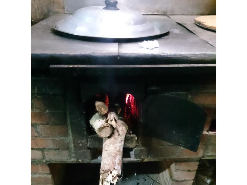 ��ɭҰ�߹�����������ƽ��ܲ����������̵�����