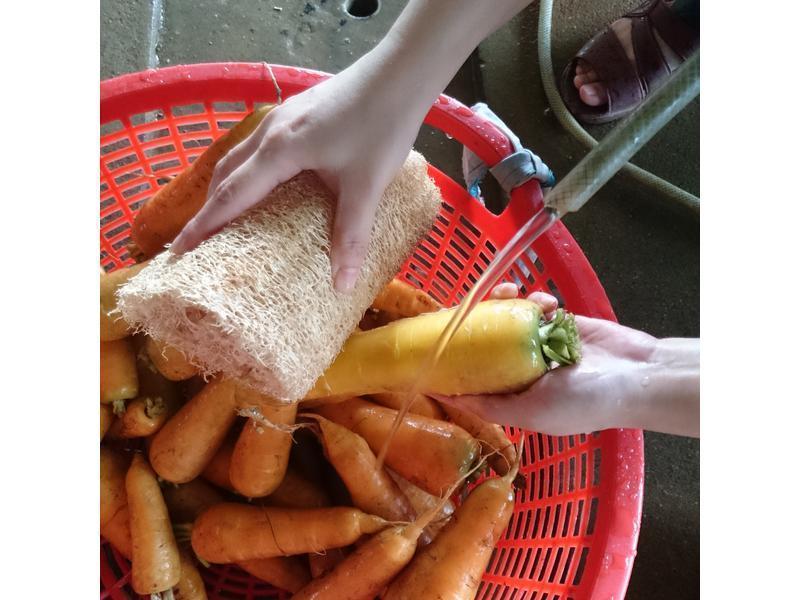 ��ɭҰ�߹�����������ƽ��ܲ����������̵�����