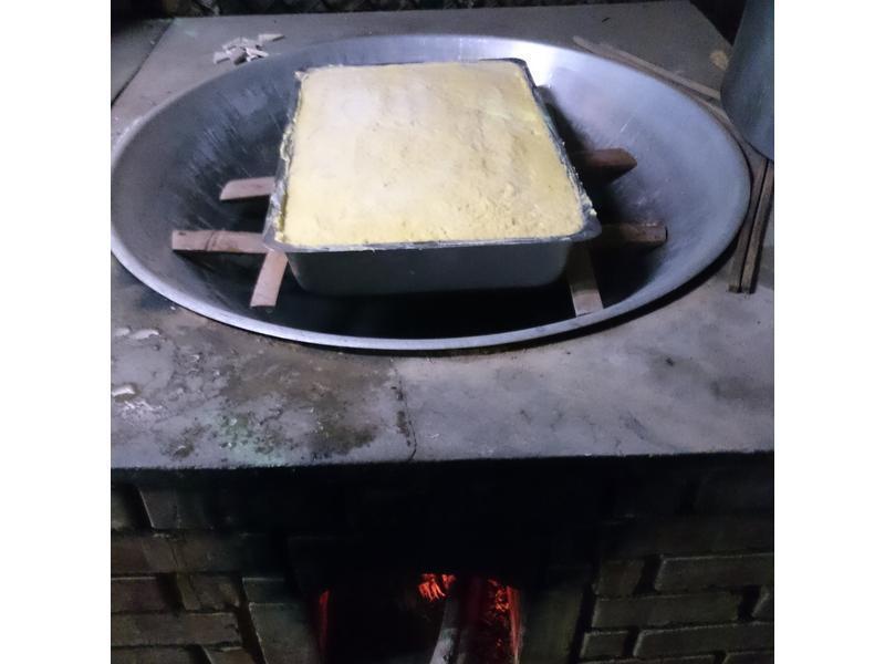 ��ɭҰ�߹�����������ƽ��ܲ����������̵�����