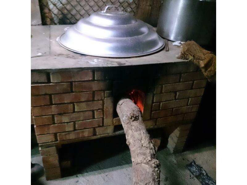 ��ɭҰ�߹�����������ƽ��ܲ����������̵�����