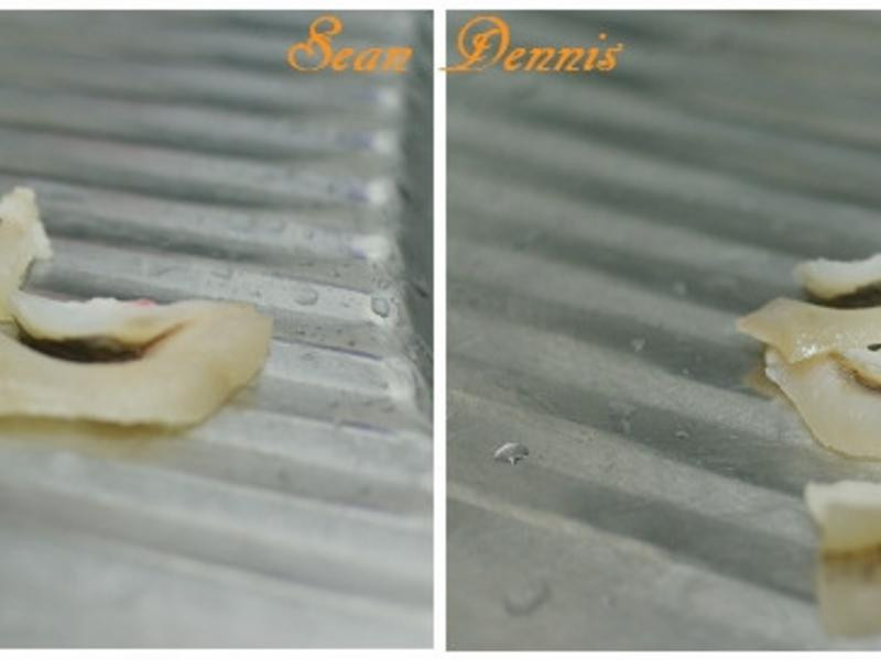 �򵥲��ͽ���±���������