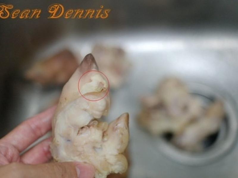 �򵥲��ͽ���±���������