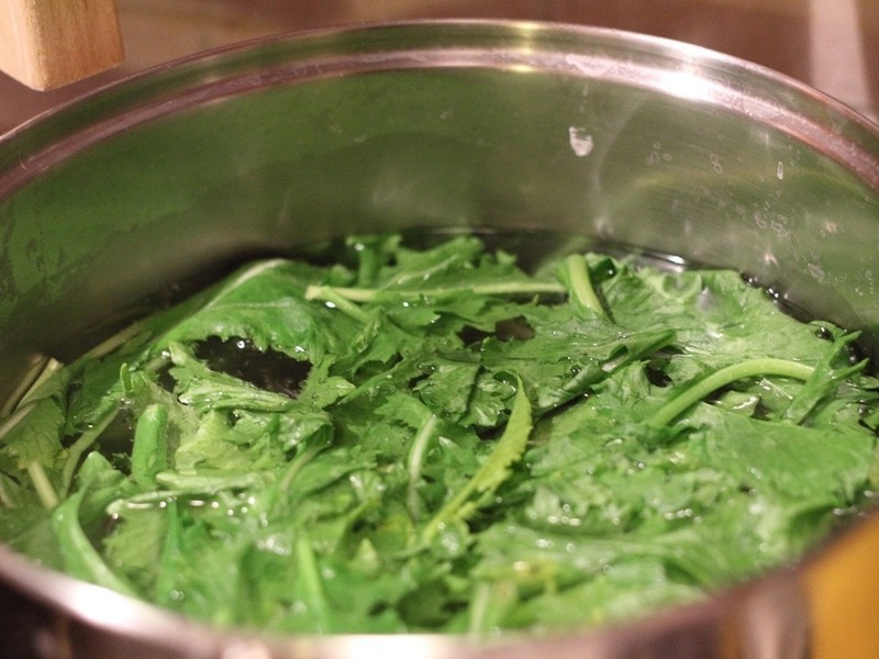 Puglia��ζ������(�����ƶ�����֮����)������