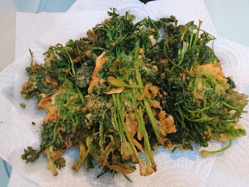 ����츾�޵�����